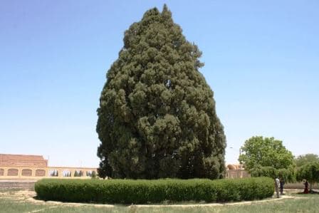 place-info-image