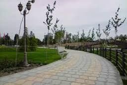 image-gallery