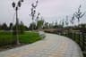 image-gallery