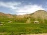 image-gallery