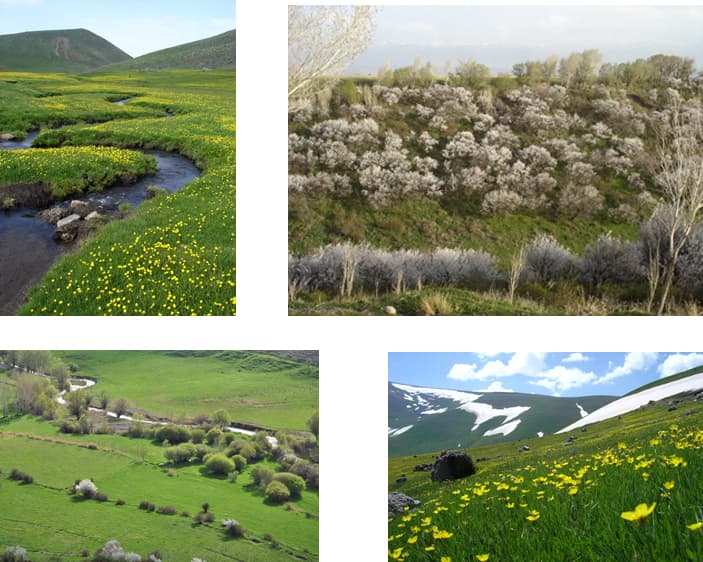 place-info-image