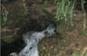 image-gallery