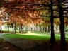 image-gallery