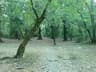 image-gallery