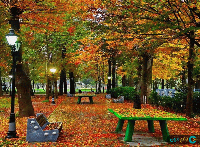 place-info-image