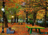 image-gallery