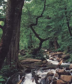 place-info-image