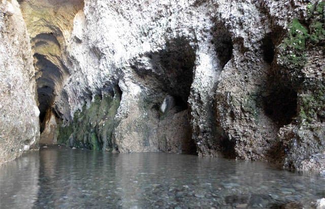 place-info-image
