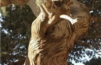 image-gallery