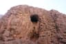 image-gallery