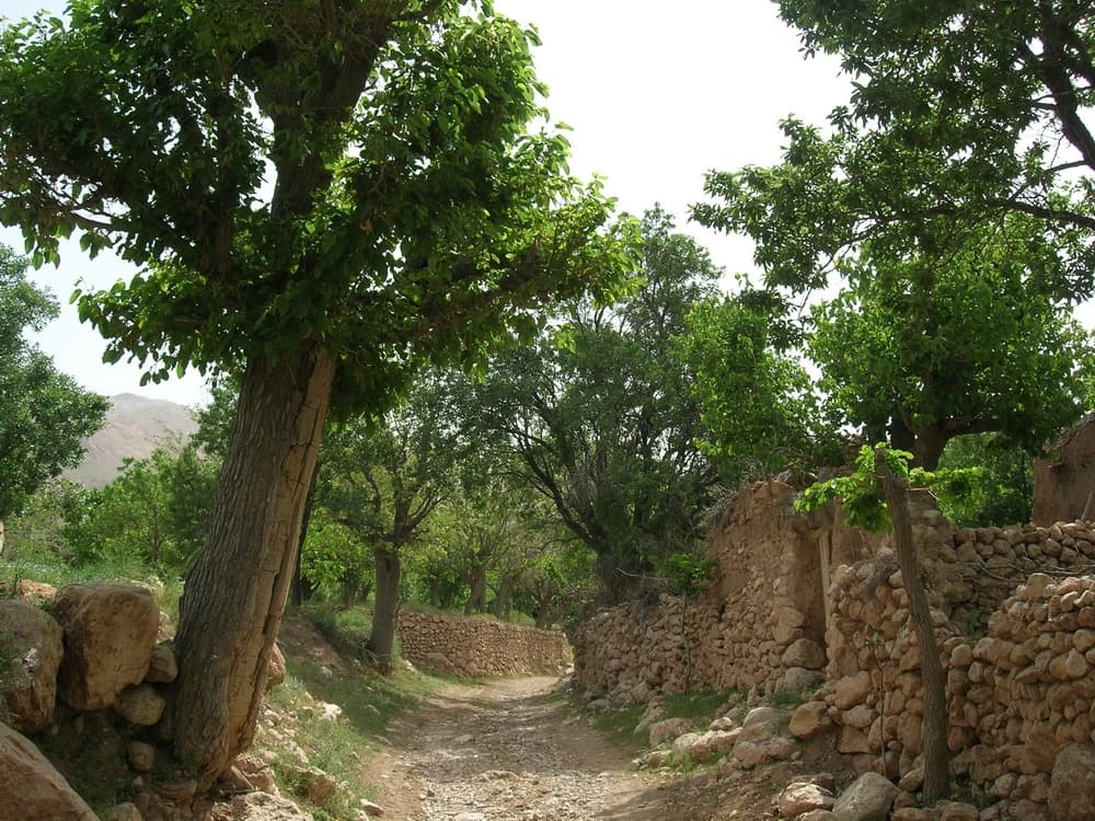 place-info-image
