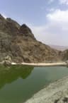 image-gallery