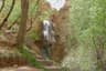 image-gallery