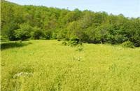 place-info-image