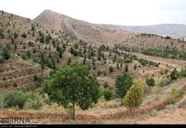 place-info-image