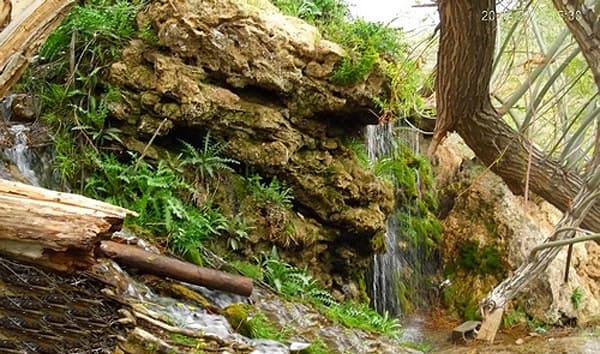 place-info-image