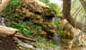 image-gallery