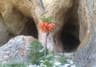 image-gallery