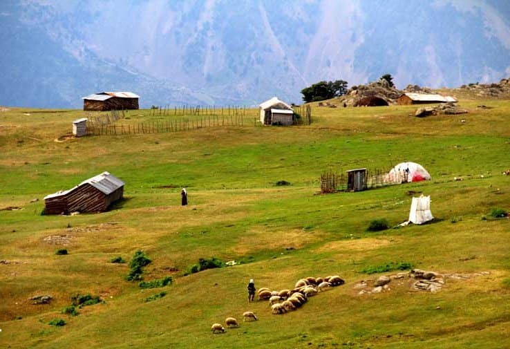 place-info-image
