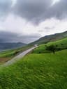 image-gallery