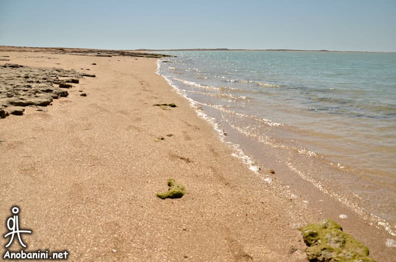 place-info-image