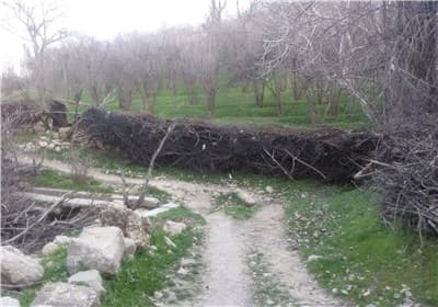 place-info-image