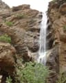 image-gallery