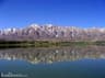 image-gallery