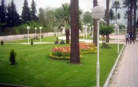 place-info-image