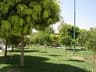 image-gallery