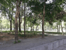 image-gallery