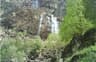 image-gallery