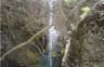 image-gallery