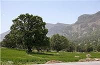 place-info-image