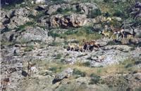 place-info-image