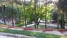 image-gallery