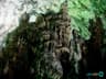image-gallery
