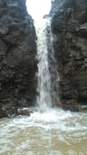 image-gallery