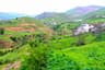 image-gallery