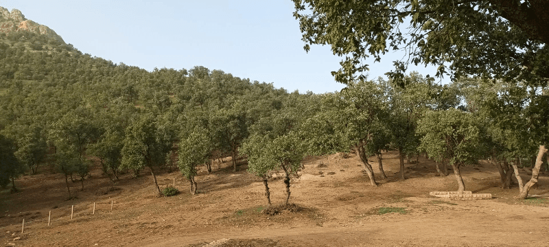 place-info-image