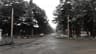 image-gallery