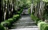 image-gallery