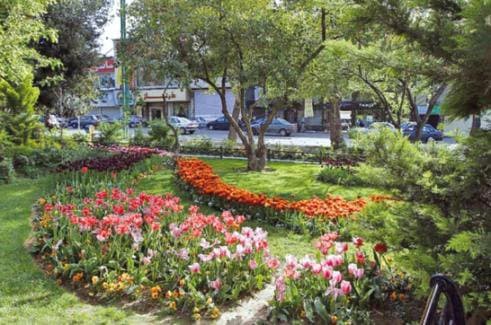 place-info-image