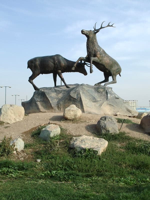 place-info-image
