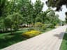 image-gallery