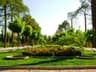 image-gallery
