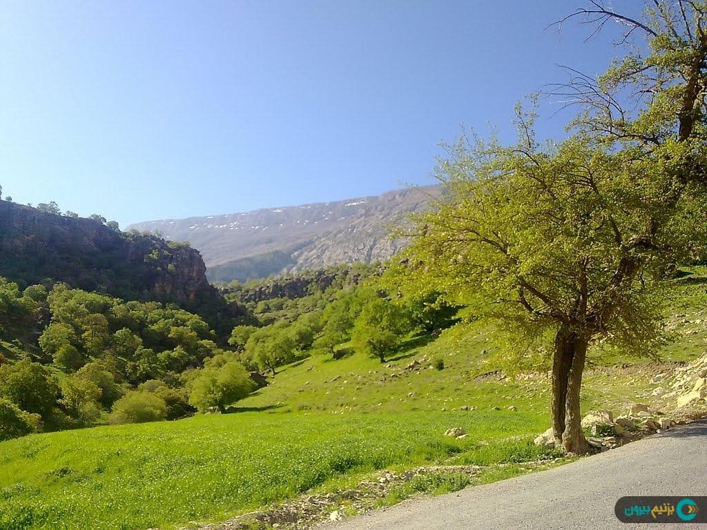 place-info-image