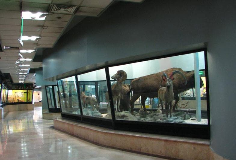 place-info-image