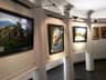 image-gallery