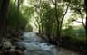image-gallery